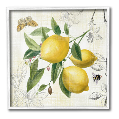 Vintage Lemon Blossoms Framed Giclee Art by Nan