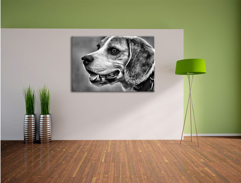 Leinwandbild Schöner Beagle im Seitenprofil in Monochrom