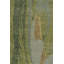 Distressed Homage Hand Knotted Wool Animal Print Area Rug-2019936117