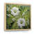 Cadre naturel flottant
