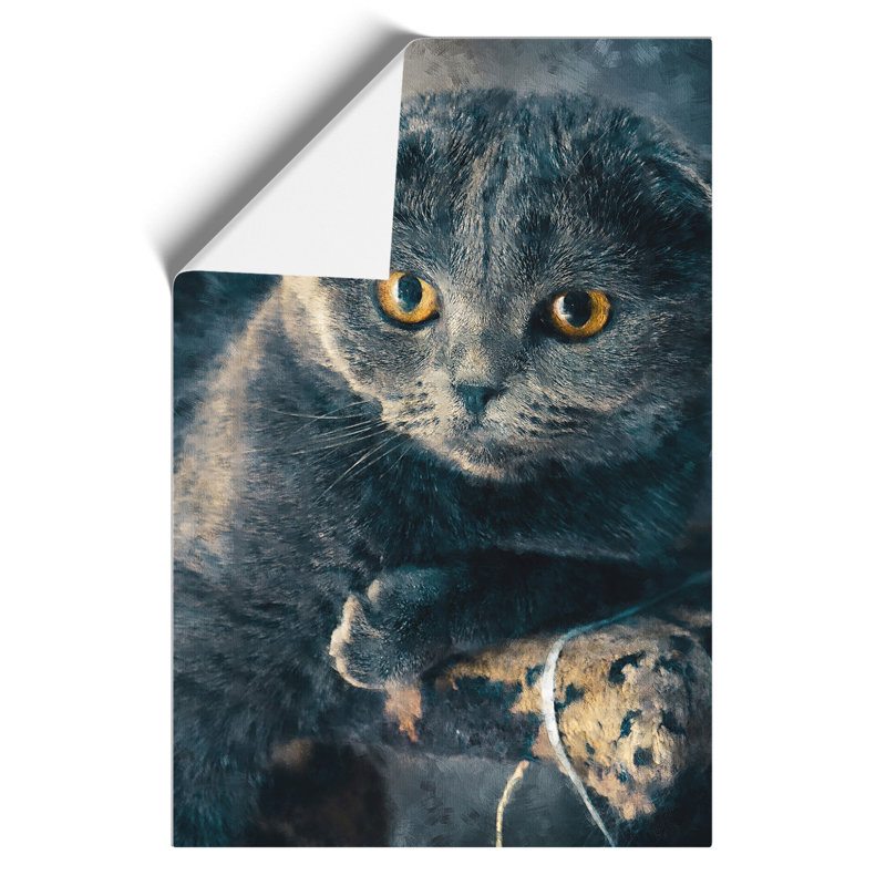 Scottish Fold Cat Painting - Frameless Print, 59cm H x 42cm W x 0.1cm D