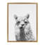 «Alpaca Portrait» par Simon Te, impression sur toile encadrée-1508993496-1565500853