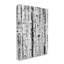 Art mural sur toile Stupell Industries Birch Trees Forest par Sissi et Seb-91306777-91306779