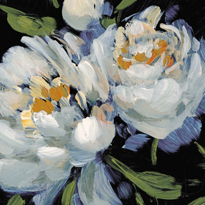 Wataga " Peony Season II Crop " by Katrina Pete