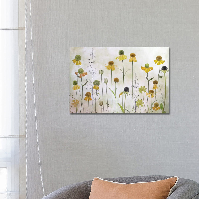 Helenium by Mandy Disher - Print on Canvas, 45.72cm H x 66.04cm W x 3.81cm D, Wrapped Canvas