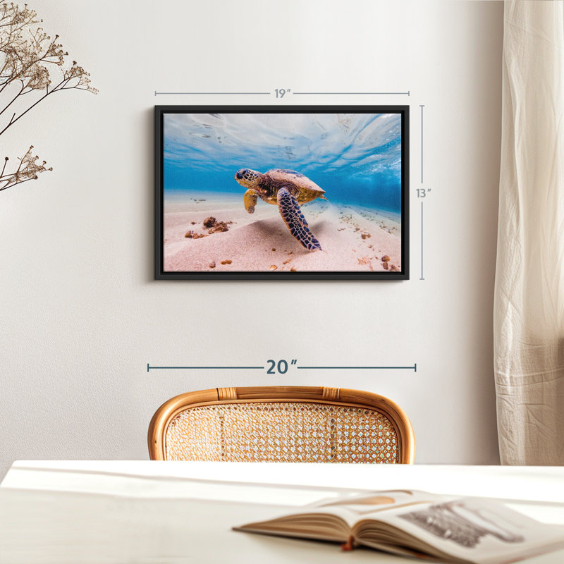 Sandy Turtle Canvas Print, 13" H x 19" W