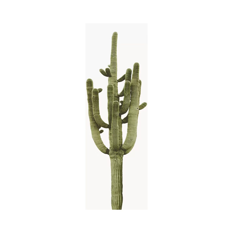 Saguaro Cactus II by Mia Jensen - Wrapped Canvas Panoramic Painting, 121.92 cm H x 40.64 cm W x 3.175 cm D