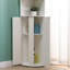 Accent Cabinet
