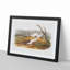 Little Nimble Weasels by J.W. Audubon - Picture Frame Painting Print-55580527-55580528