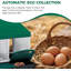 Nesting Boxes-1619386010