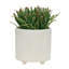 Comprend des pots de fleurs pour porte-plantes