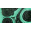 Malachite Stone - Shapes
