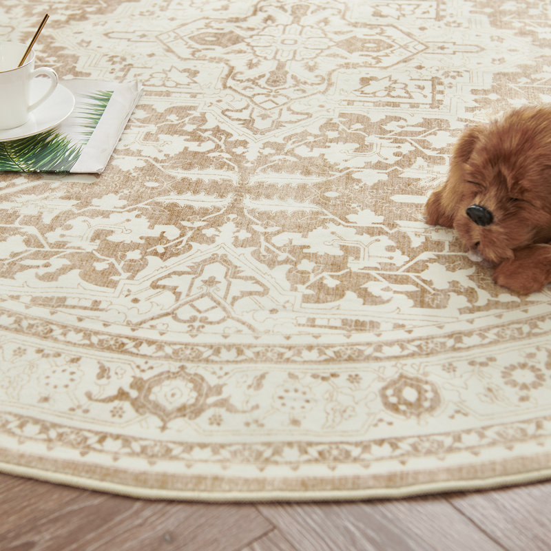 Purl Chenille Mashine Washable Vintage Indoor Arae Rug with Non-Slip Backing for Bedroom Living Room Kitchen Entryway