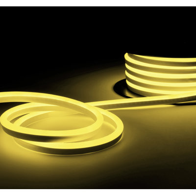 Commercial Grade Plug-in Neon LED Rope Lights IP67 Waterproof
