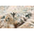 Kenslie Ivory Rug-688789418