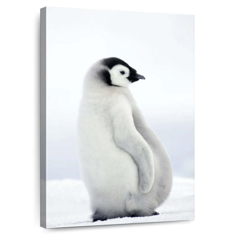 Adorable bébé pingouin Brampt, H 36 po x l 24 po