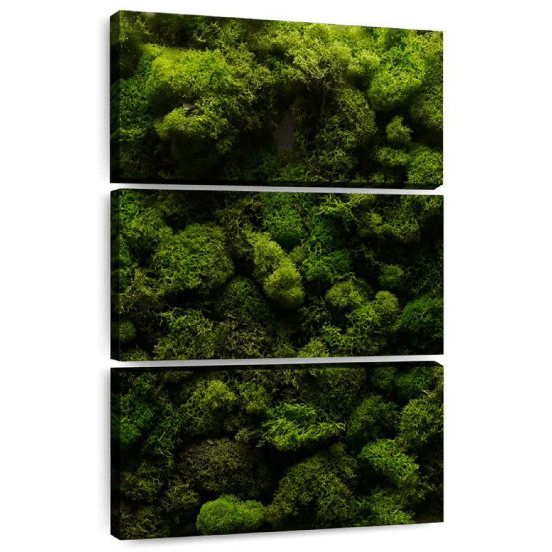 " Thick Moss " 3 - Pieces, 74" H x 48" W x 1.25" D