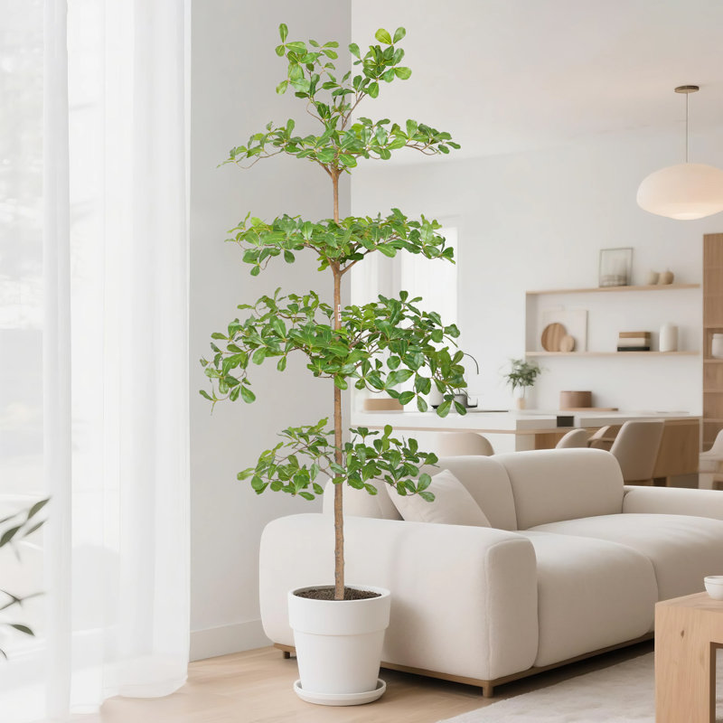 Arbre à fleurs 70 po avec olivier artificiel noir pour l'intérieur et l'extérieur, H 70 po x l 7 po
