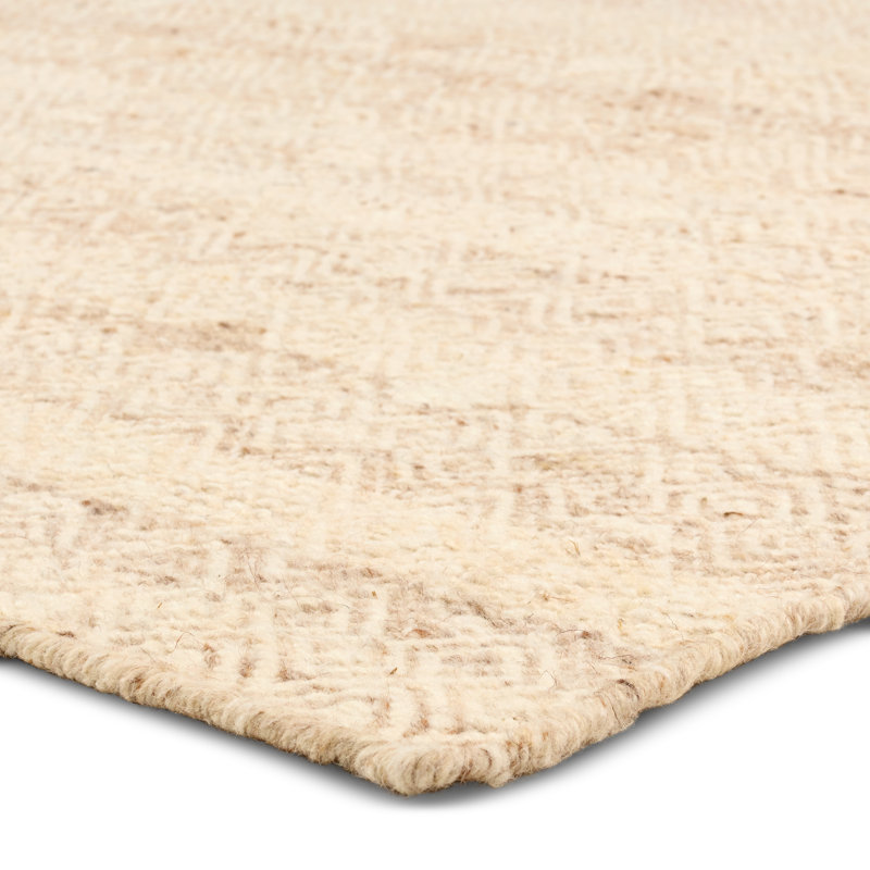 Gracie Oaks Igna Handwoven Tribal Tan/Taupe Area Rug, Rectangle 2' x 3'