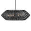Hinkley Luca Large Single Tier Chandelier-649961651