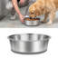 Pet Bowl