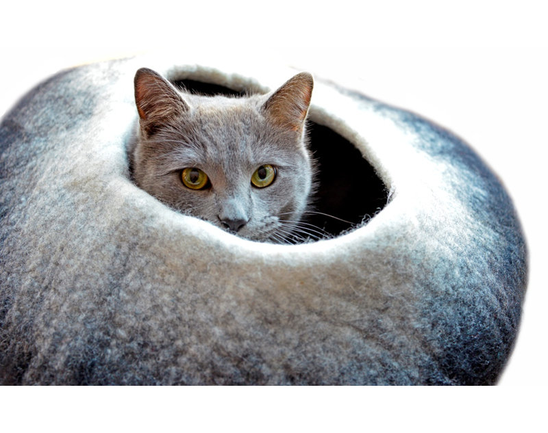 Dôme de créateur d’animaux, Noir / blanc