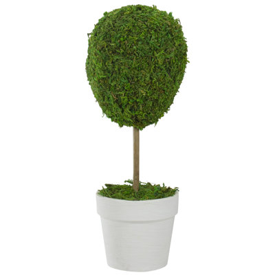 Arbre topiaire vert en forme de boule de renne verte