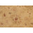 Wool Oriental Rug
