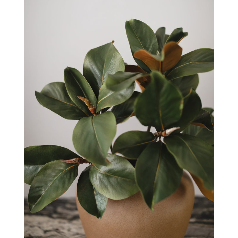 Faux Magnolia Branch
