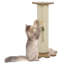 Jouet pour chat