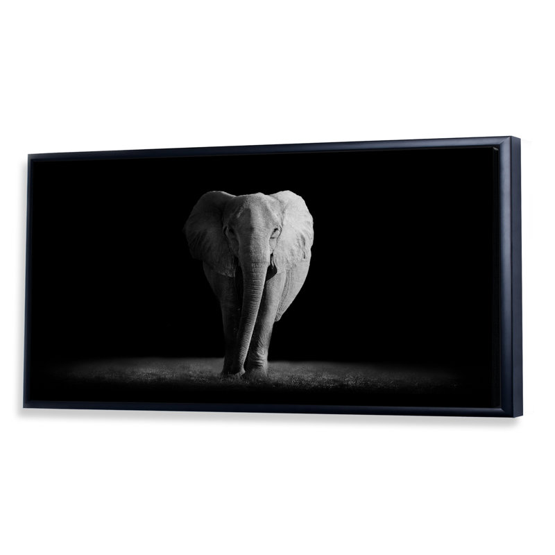 Éléphants en noir et blanc II, Cadre noir, H 16 po x l 32 po x P 1 po