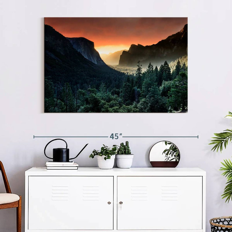 Harnek Forest Last Light, 26" H x 39" W