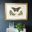 «Crackled Butterflies I», impression sur papier-266863429-266863430
