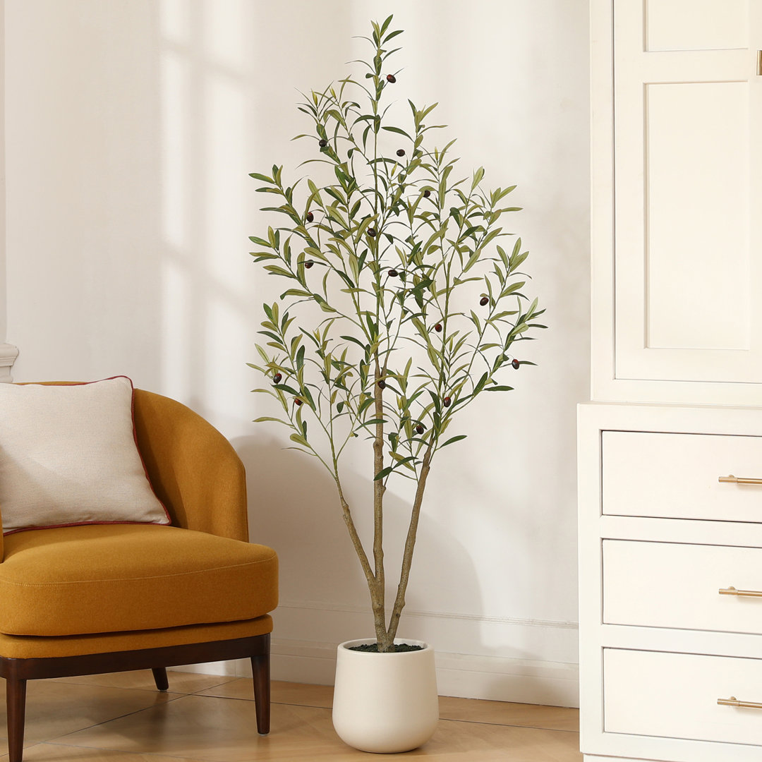 Adcock Faux Olive Tree with Oval White Planter, Pre Potted Fake Greenry Olive Plant for Home Decor Primrue 