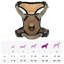 Pet Carrier-644978350