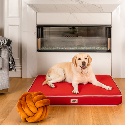 Cooling Gel Orthopedic Memory Foam Pet Bed with Washable Cover