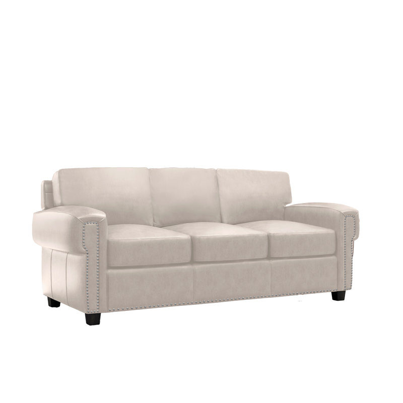 Fardin 87" Genuine Leather Queen Sleeper Sofa, White Genuine Leather