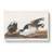 Brant Geese by John Audubon - Wrapped Canvas Painting-55361844