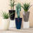 Sainsbury Pot Planter-911249981