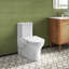 Accessoire de toilette de bidet non électrique Aqua