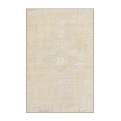 Oriental Indoor Rug