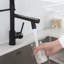 Fapully Pull Down Kitchen Faucet-61611593