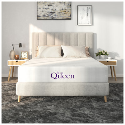 NapQueen 6-Inch Queen Size Memory Foam Mattress with Silky Mesh Cover, Low Profile Bed-in-a-Box