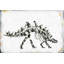 Reproduction de fossile de dinosaure sur toile tendue-285555969