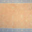 Dhurrie One-of-a-Kind Rectangle 6'3" X 10'9" Area Rug
