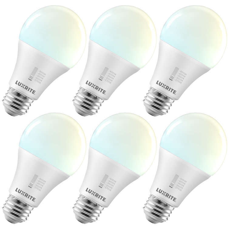 15 Watt E26/Medium (Standard) Dimmable 5000K Bulb