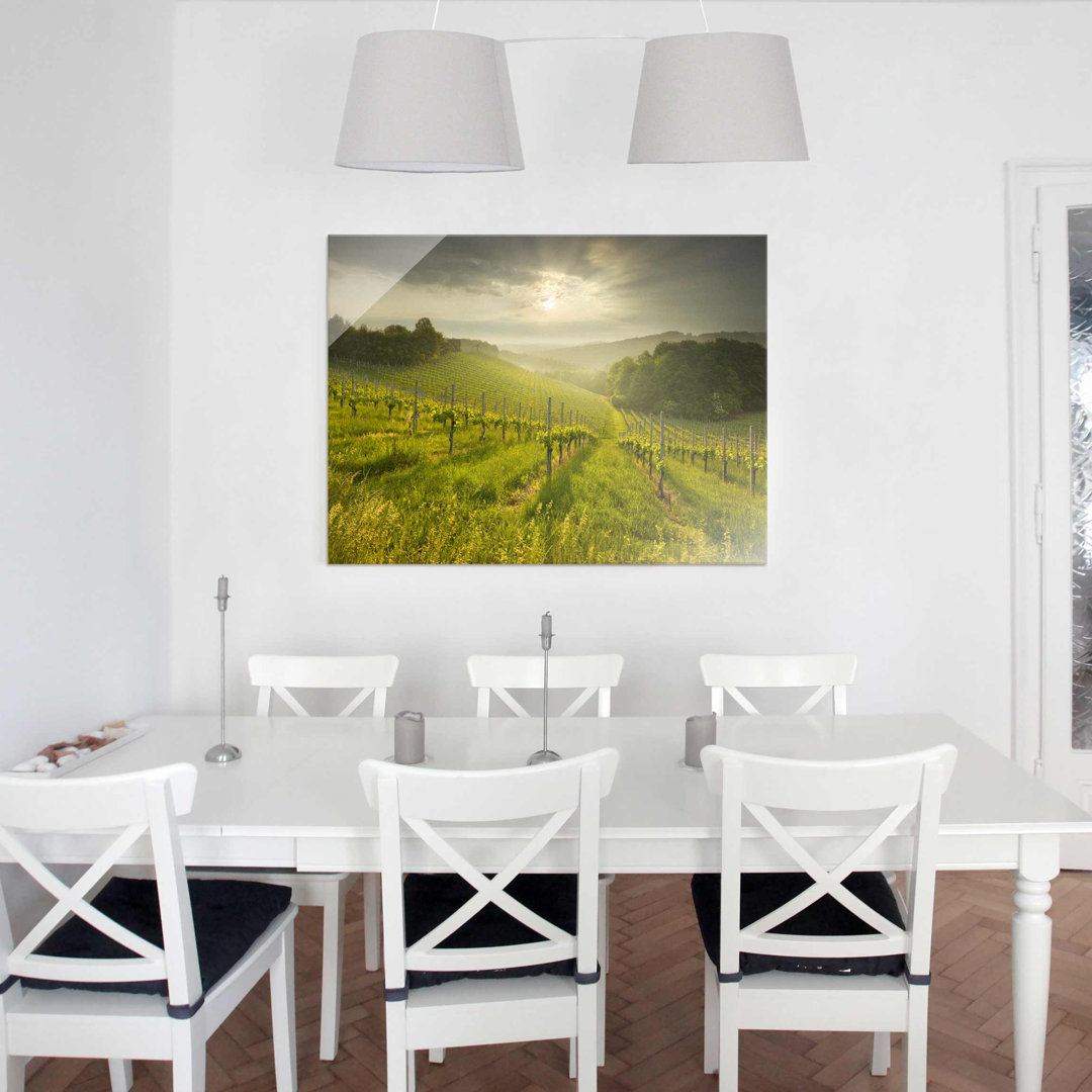 Glasbild Weinberg Sunbeams