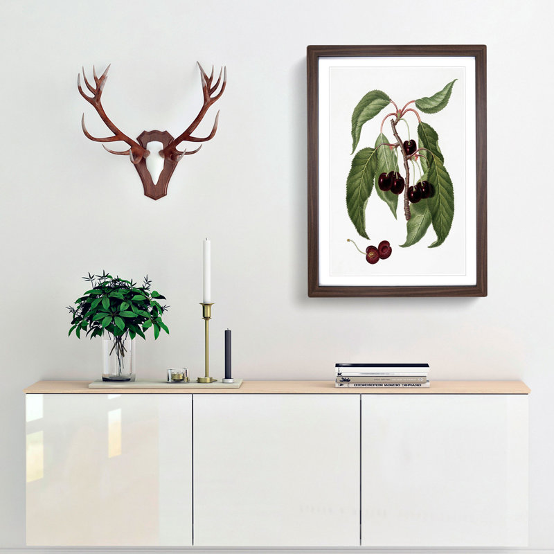 Hard-fleshed Cherry Tree by Giorgio Gallesio - Picture Frame Painting Print, 65cm H x 48cm W x 2cm D, Walnut Framed