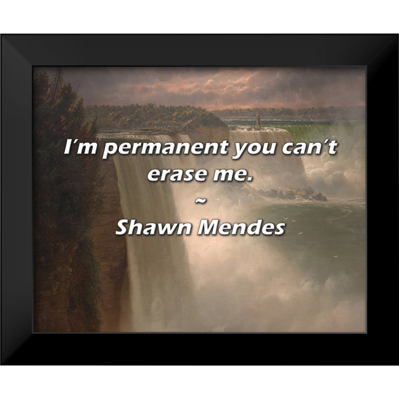 Citation de Shawn Mendes: Je suis permanent, vous ne pouvez pas m'effacer.