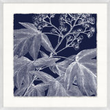 Transitional Leaf Composition On Navy 6 Print